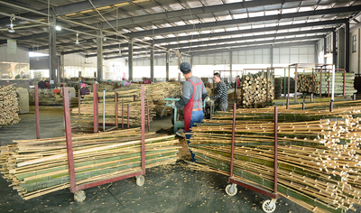 Shenzhen Magic Bamboo Industrial Co., Ltd. 제조업체의 생산 라인