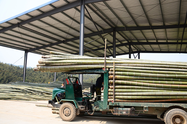 Shenzhen Magic Bamboo Industrial Co., Ltd. 제조업체의 생산 라인